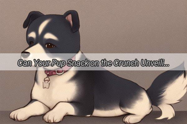 Can Your Pup Snack on the Crunch Unveiling the Truth About Dogs and Unsalted Peanuts